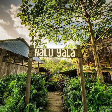 The Jungle Lodge At Kalu Yala Panamá Exteriér fotografie