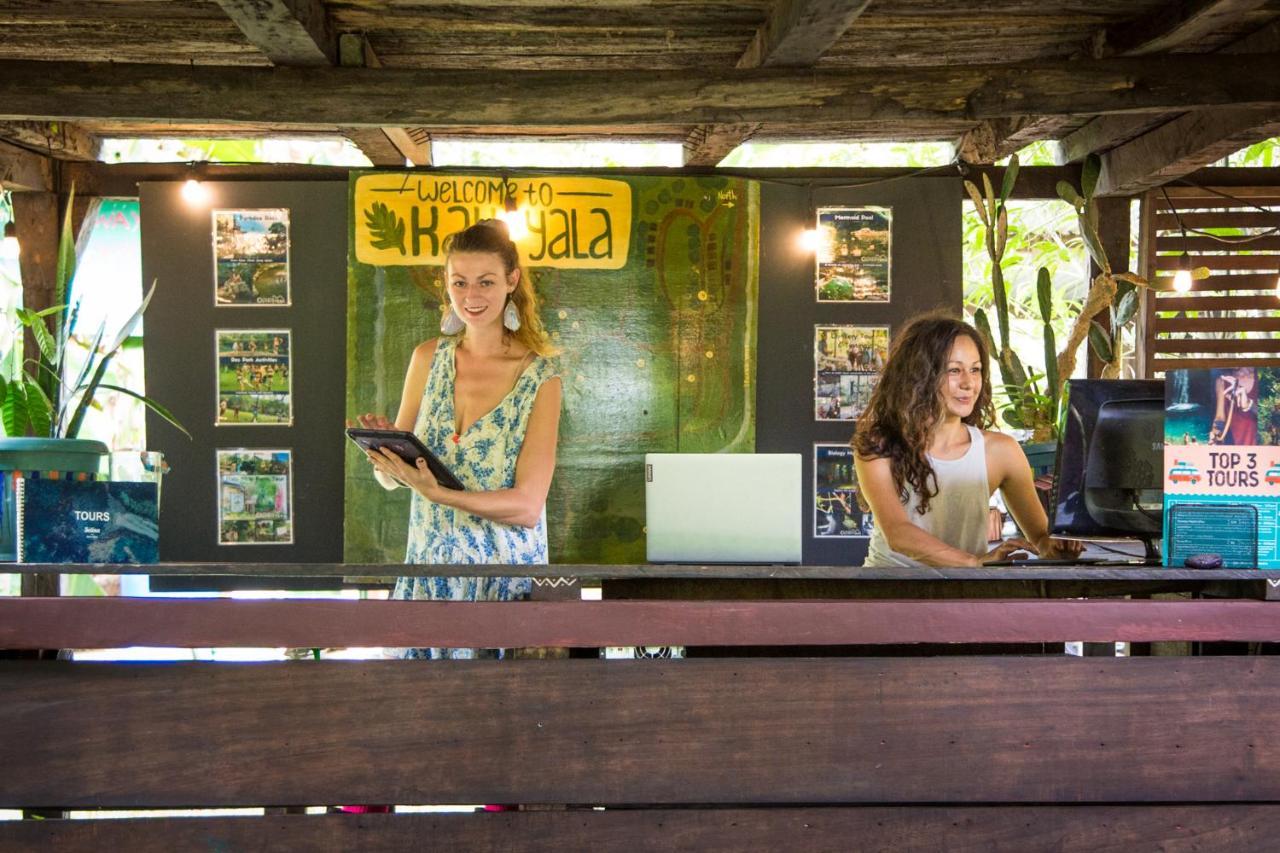 The Jungle Lodge At Kalu Yala Panamá Exteriér fotografie