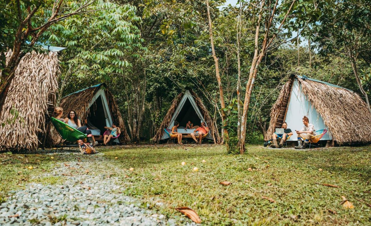 The Jungle Lodge At Kalu Yala Panamá Exteriér fotografie
